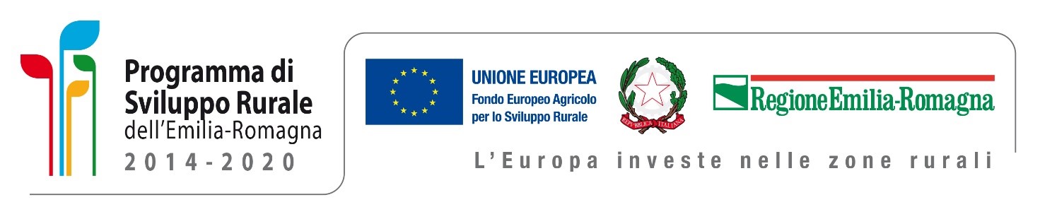 Programma di Sviluppo Rurale della Regione Emilia Romagna 2014 – 2020. Misura 7 – Tipo di Operazione 7.4.02 – Strutture per servizi pubblici.&nbsp;Domanda di aiuto n. 5020652/2017 -&nbsp;CENTRO POLIVALENTE ANTICA PIEVE DI VERNASCA
&nbsp;